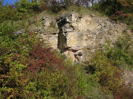 001 . Čelechovice na Hané-Růžičkův lom (001-A) - Z část S stěny (napravo ČE-9)
