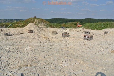 Muhlheim-Steinbruchareal-07-2013-0016