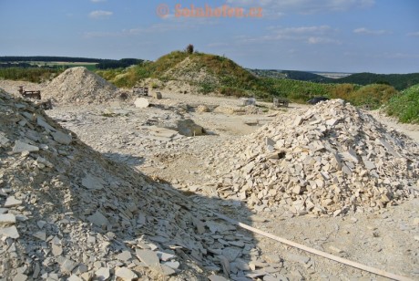 Muhlheim-Steinbruchareal-07-2013-0017