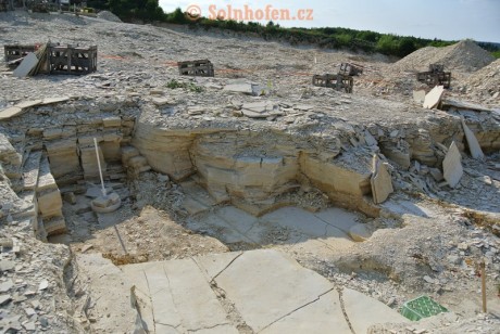 Muhlheim-Steinbruchareal-07-2013-0022