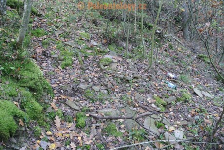MokreLazce-Lipovice-23-10-2013-0005