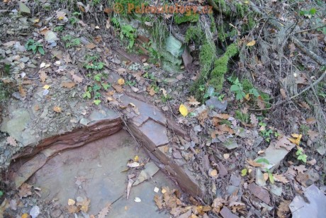 MokreLazce-Lipovice-23-10-2013-0014