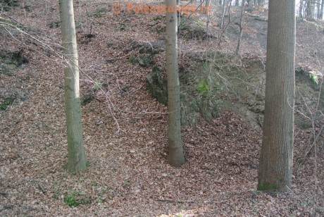 Bobrovníky-KravíDůl-12-2013-0004