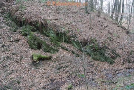 Bobrovníky-KravíDůl-12-2013-0009