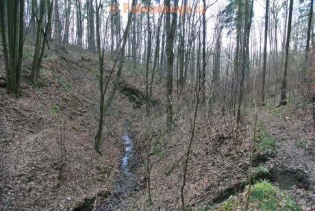 Bobrovníky-KravíDůl-12-2013-0010