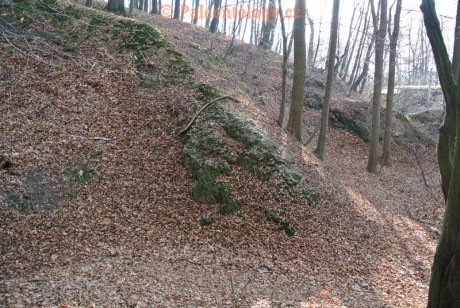 Bobrovníky-KravíDůl-12-2013-0011