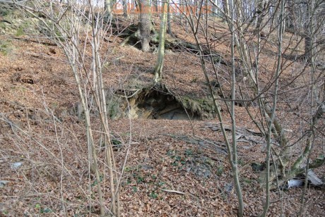 Bobrovníky-KravíDůl-12-2013-0015