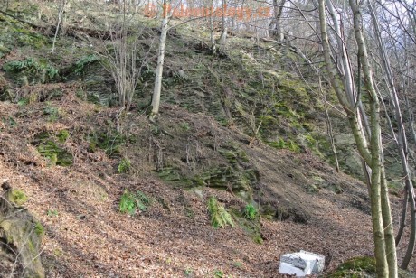Bobrovníky-KravíDůl-12-2013-0022