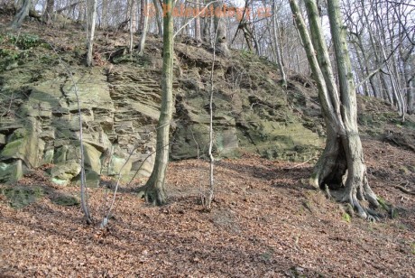 Bobrovníky-KravíDůl-12-2013-0026