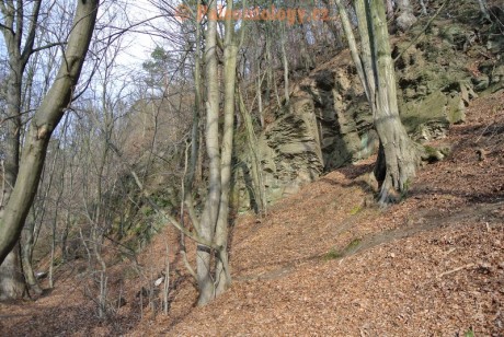 Bobrovníky-KravíDůl-12-2013-0029