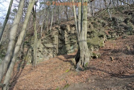 Bobrovníky-KravíDůl-12-2013-0030