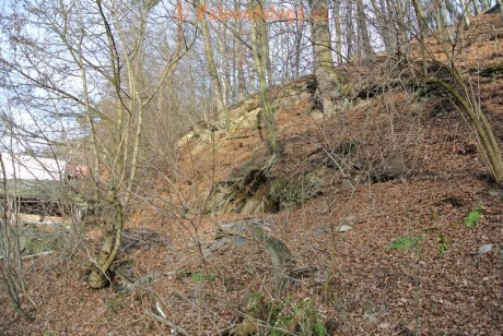 Bobrovníky-KravíDůl-12-2013-0035