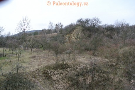Čelechovice-RůžičkůvLom-18-03-2014-0001