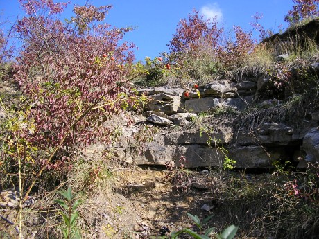 001 . Čelechovice na Hané-Růžičkův lom (001-A) - ČE-4, ČE-10 (levá - S - část) - detail (f2)