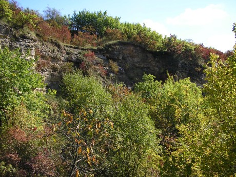 001 . Čelechovice na Hané-Růžičkův lom (001-A) - S část V stěny s ČE-1,2,4 a 10 (pohled nedaleko ČE-9)