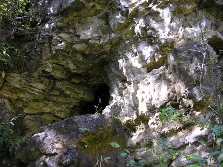 001 . Čelechovice na Hané-Růžičkův lom (001-A) - S část Z stěny (pod ČE-6) - detail (f1)