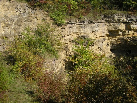 001 . Čelechovice na Hané-Růžičkův lom (001-A) - střední a V část S stěny (pohled nedaleko ČE-9)