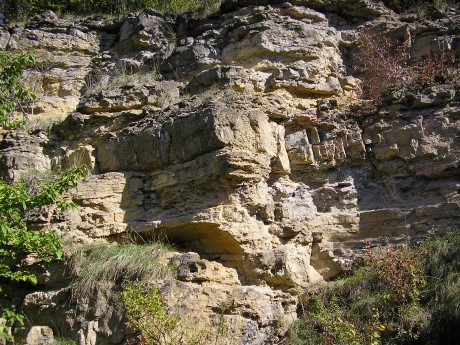 001 . Čelechovice na Hané-Růžičkův lom (001-A) - V část S stěny (detail) (f1)