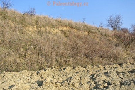 Mikulov-Kienberg-08-03-2014-0005