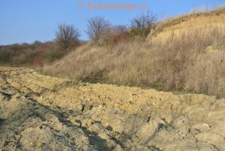 Mikulov-Kienberg-08-03-2014-0006