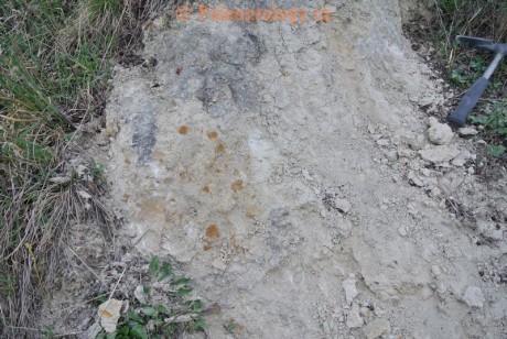 Mikulov-Kienberg-23-03-2014-0003