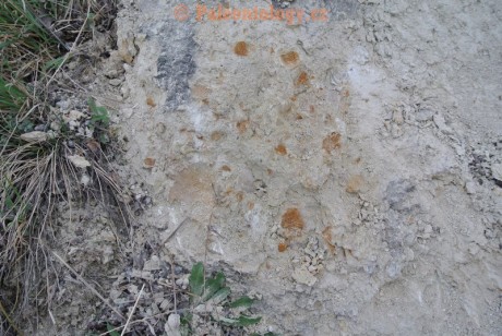 Mikulov-Kienberg-23-03-2014-0004