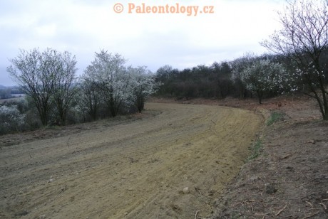Mikulov-Kienberg-23-03-2014-0009