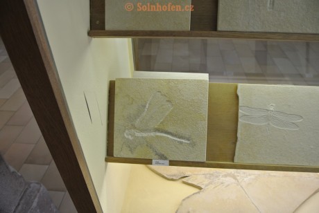 Museum-Berger-2013-0001