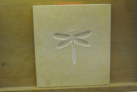 Museum-Berger-2013-0003