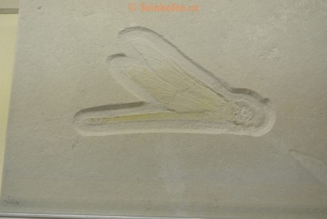 Museum-Berger-2013-0006