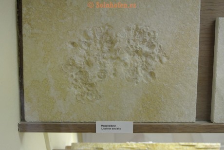 Museum-Berger-2013-0008