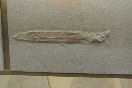 Museum-Berger-2013-0009