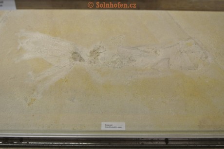 Museum-Berger-2013-0010