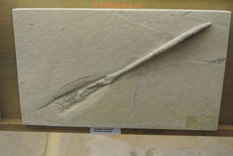 Museum-Berger-2013-0011