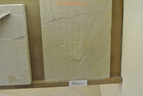 Museum-Berger-2013-0012