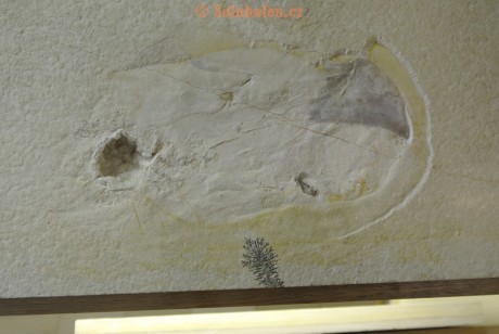 Museum-Berger-2013-0013