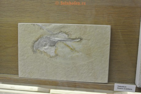 Museum-Berger-2013-0014