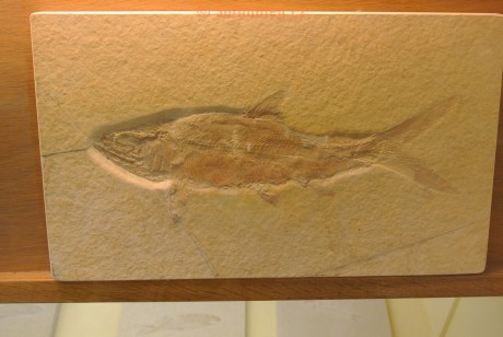 Museum-Berger-2013-0015
