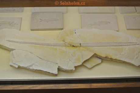Museum-Berger-2013-0016