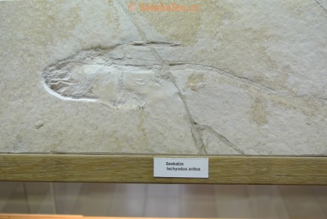 Museum-Berger-2013-0018
