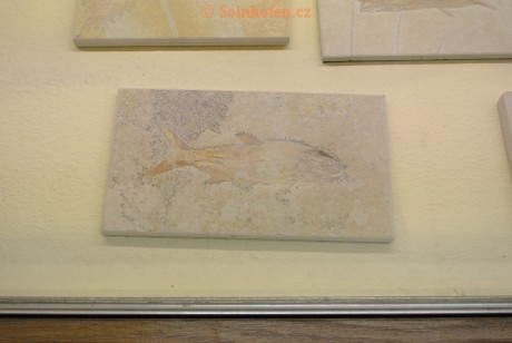 Museum-Berger-2013-0022