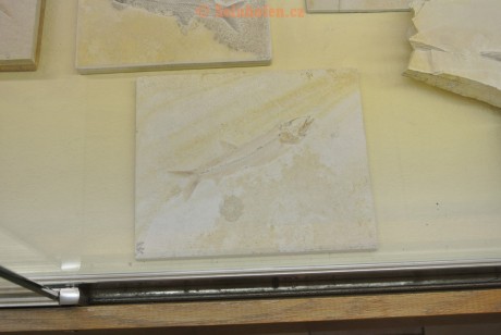 Museum-Berger-2013-0024