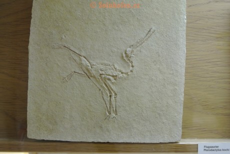 Museum-Berger-2013-0025