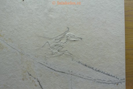 Museum-Berger-2013-0027