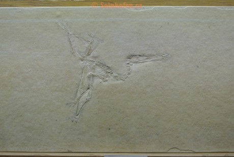 Museum-Berger-2013-0028