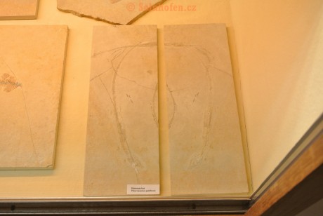 Museum-Berger-2013-0031