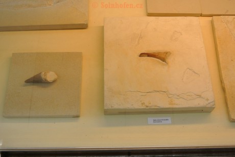 Museum-Berger-2013-0033