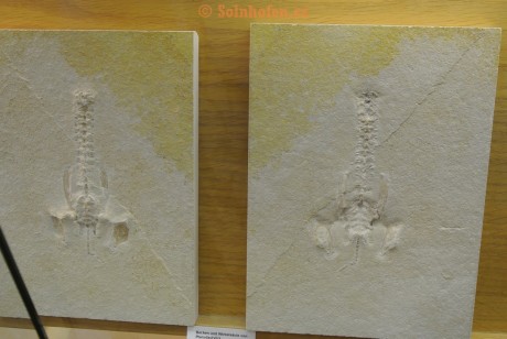 Museum-Berger-2013-0034