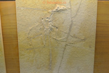 Museum-Berger-2013-0035