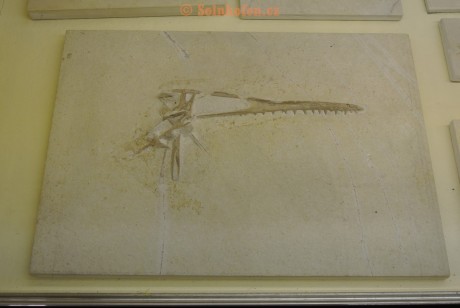 Museum-Berger-2013-0038